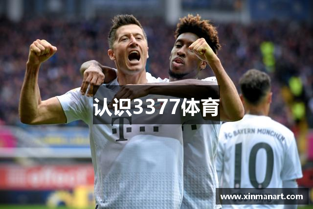 认识3377体育